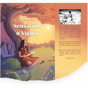 Sensación o Vigilia